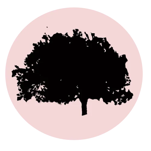 Logo Plataforma Laboral Life