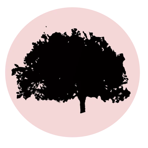 Logo Plataforma Laboral Life